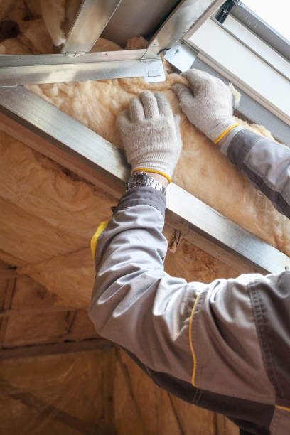 Best Insulation Contractor Near Me  in Whitley City, KY